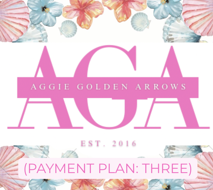 Arrows Payment Plan (3)