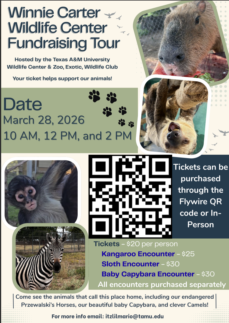 Navigate to this Product's page