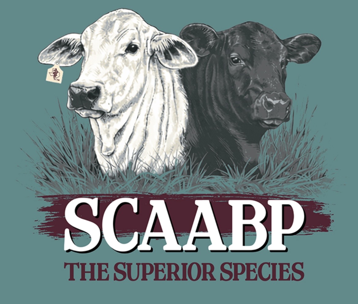 Spring 2026 Merch Comfort color T shirt