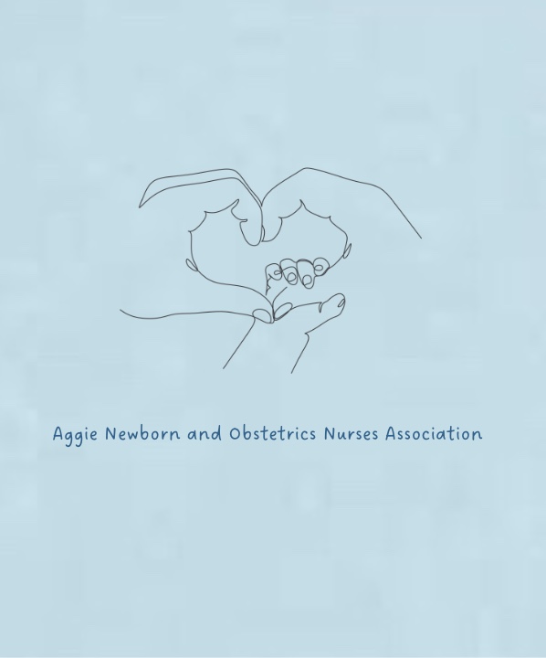 ANONA New Merch: T-Shirt F25