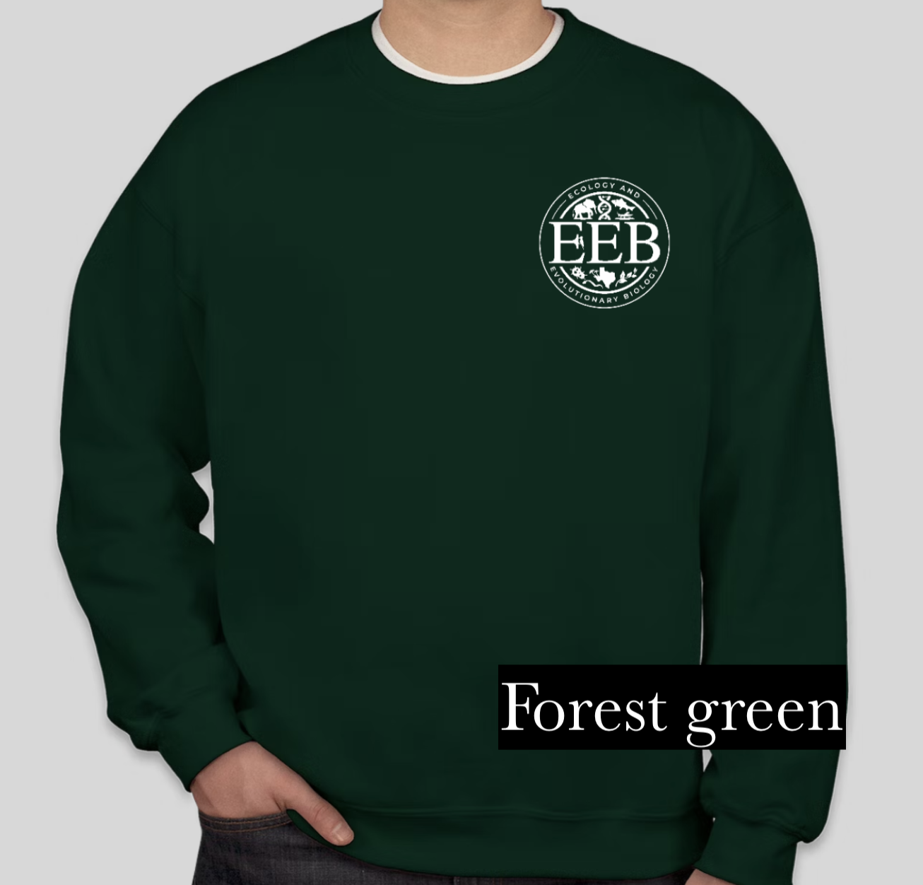 Logo crewneck sweatshirt