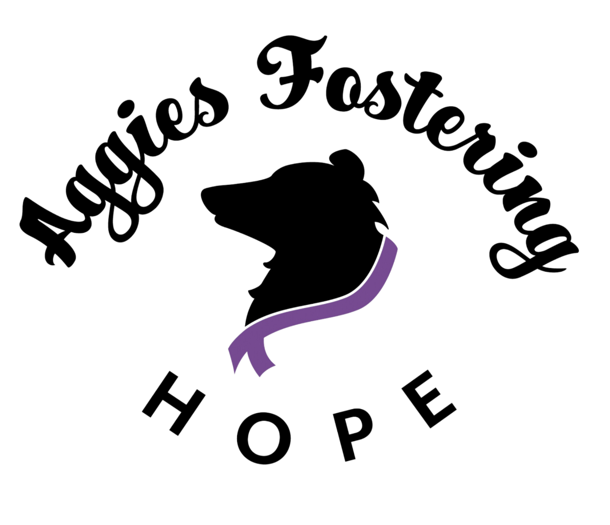 Aggies Fostering Hope Donation