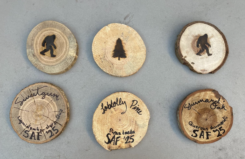 Navigate to this Product's page