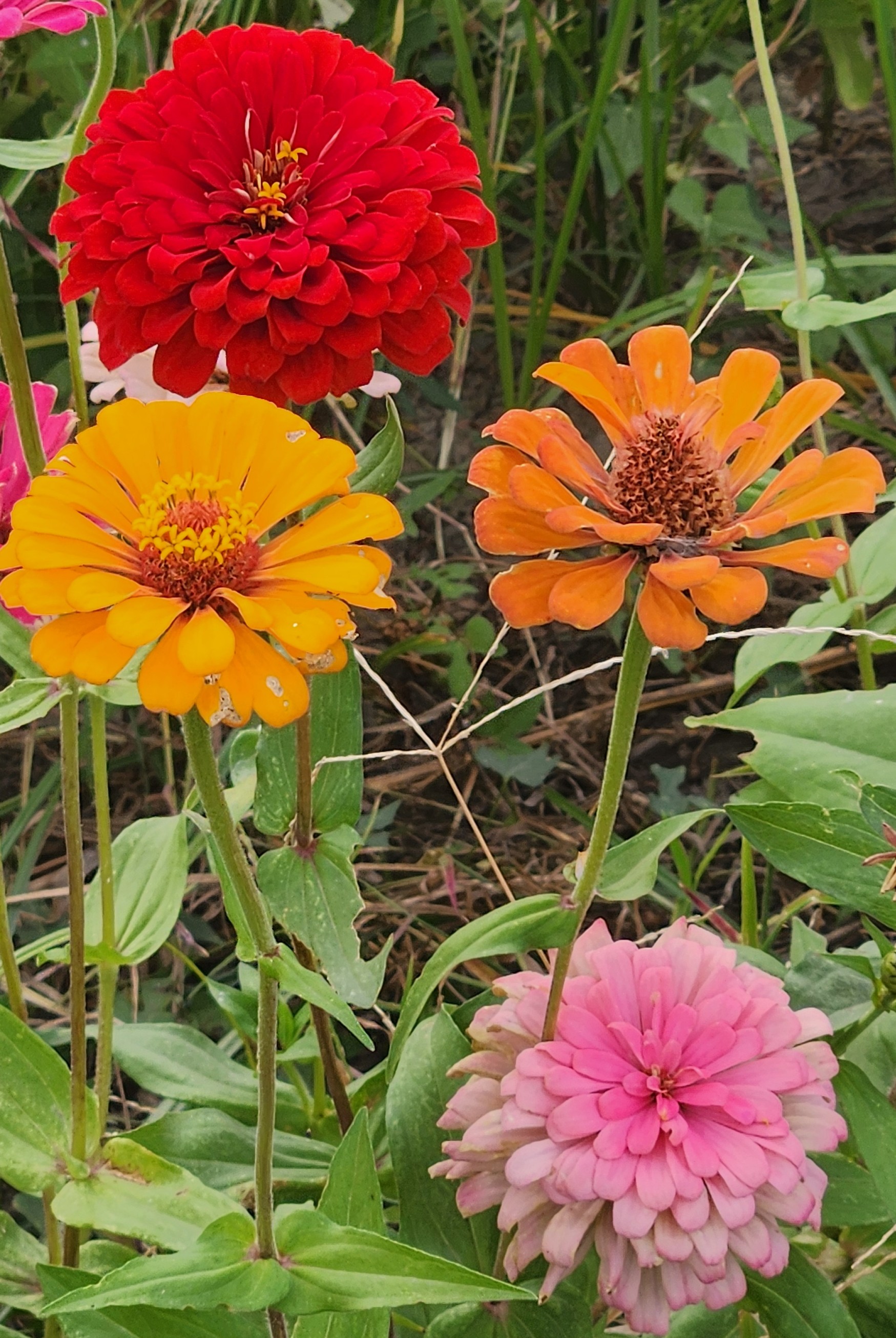 Navigate to this Product's page