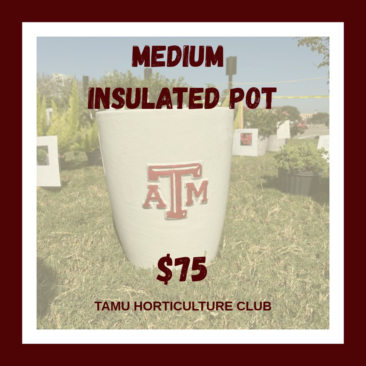 Medium Insulated Pot