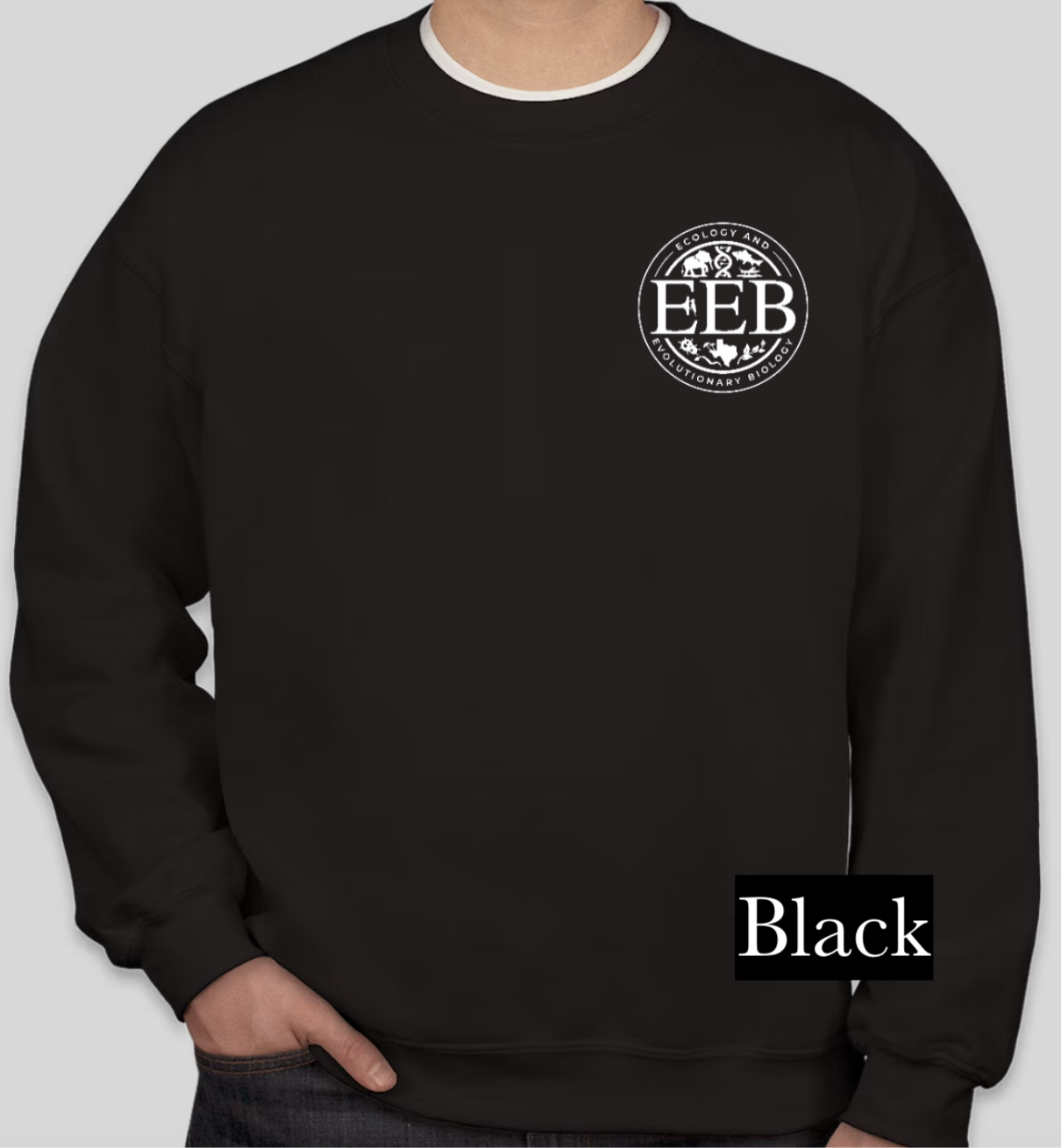 Logo crewneck sweatshirt