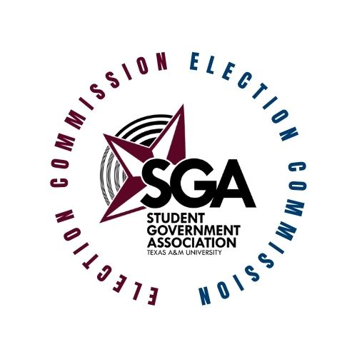 Tier 2 Violation - Spring 2026 Student Body Elections Filing (MINOR RACE)