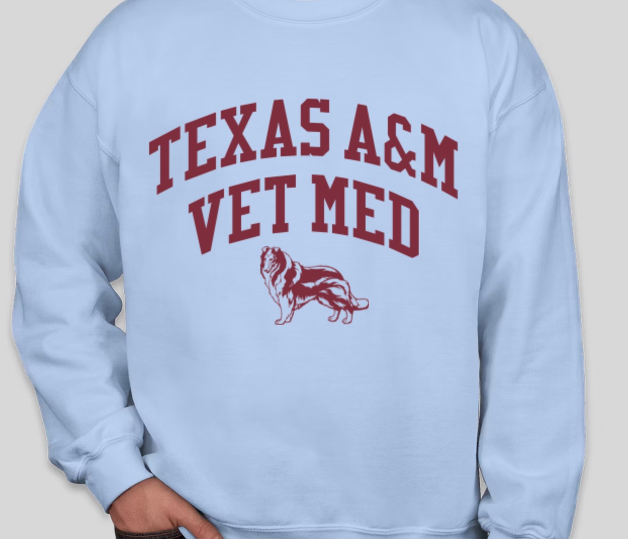ZEW Sweatshirt