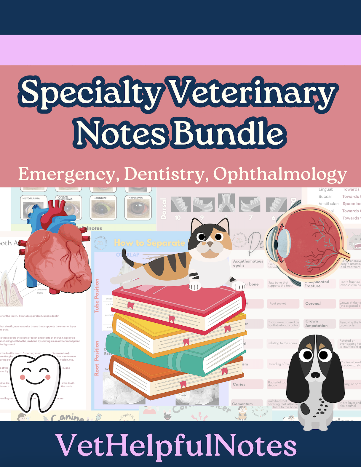 2026 Ultimate Speciality Notes Bundle Hard Copy