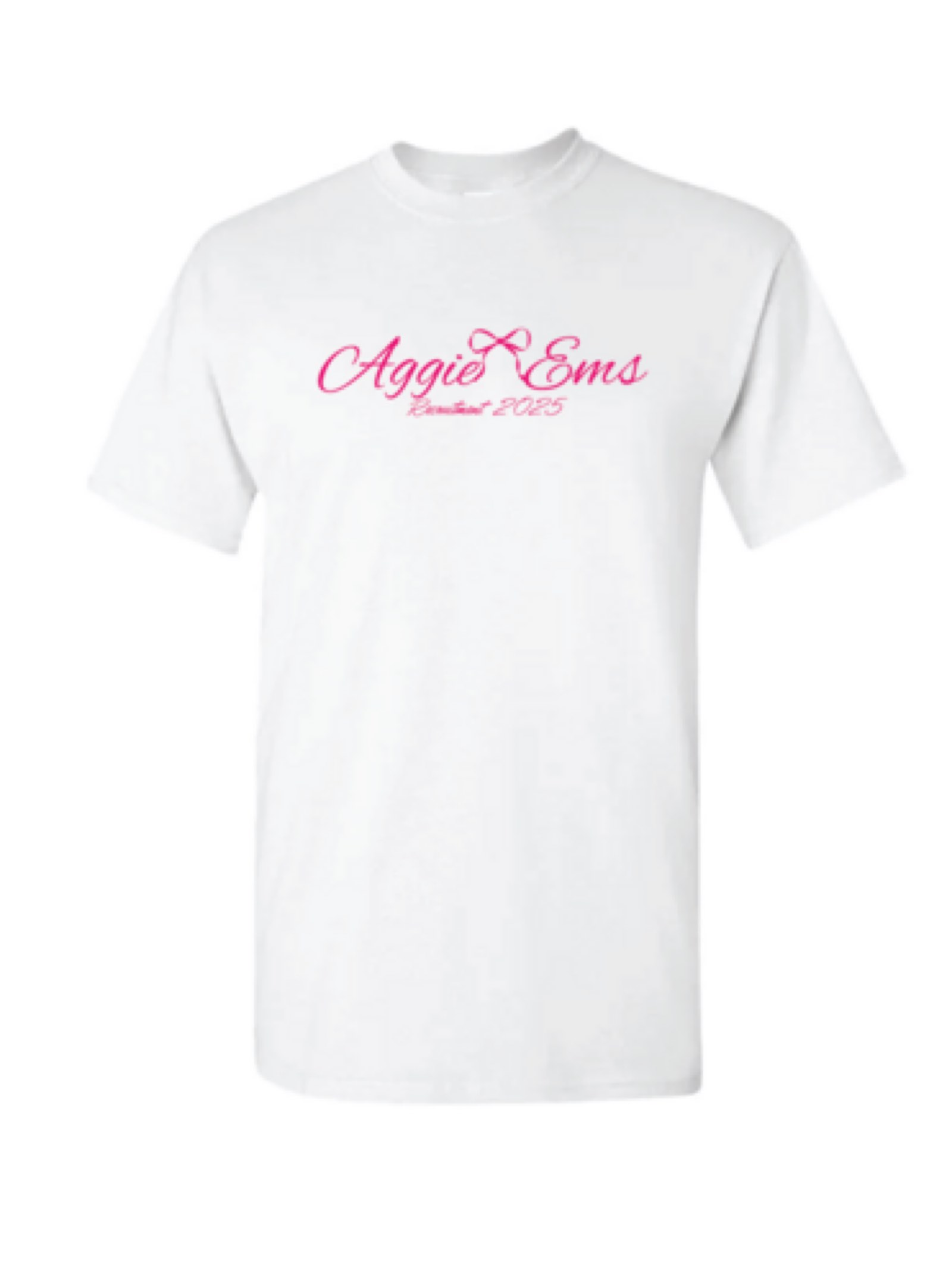 Recruitment 2025 T-shirt