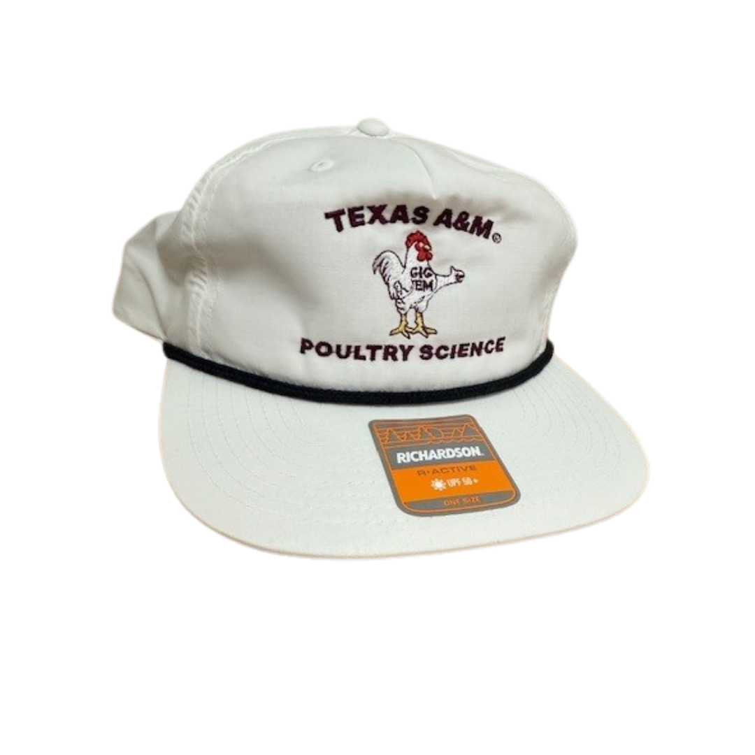 Navigate to this Product's page