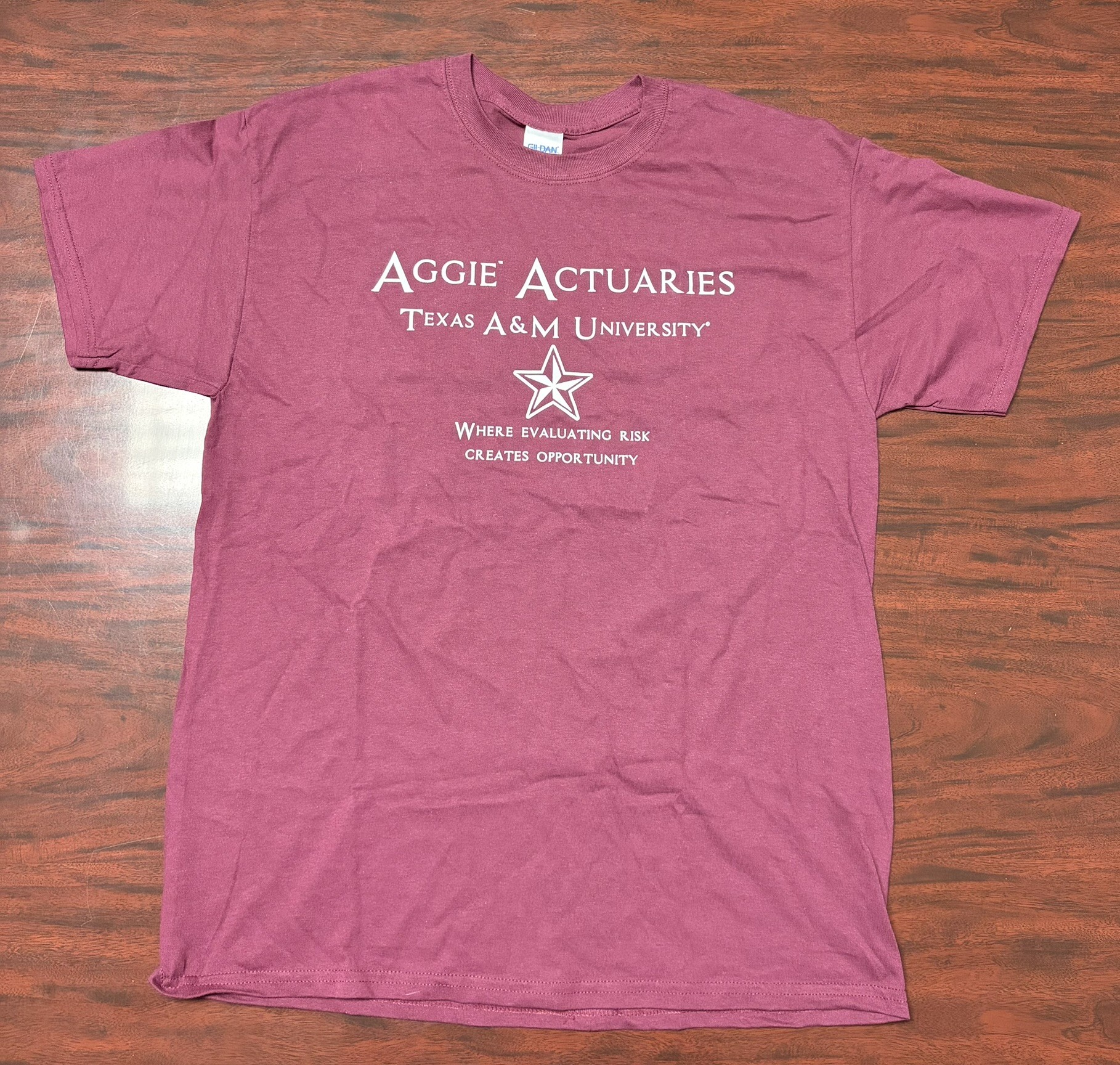 Aggie Actuaries Member T-Shirts (old)