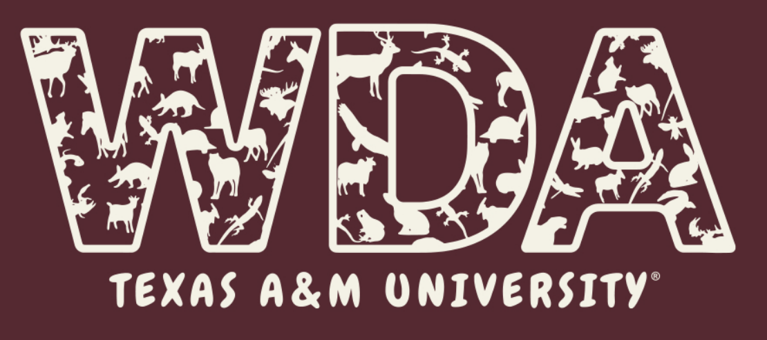 Navigate to this Product's page