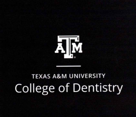 TAMU Dentistry Belt Bag