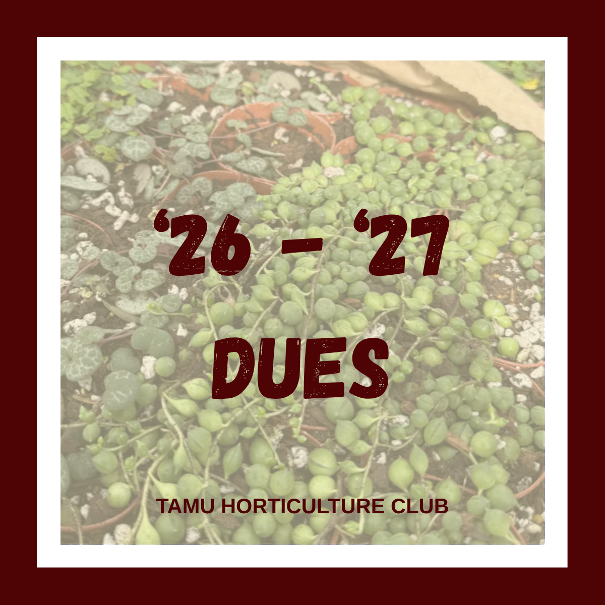 Fall '26 - Spring '27 Dues