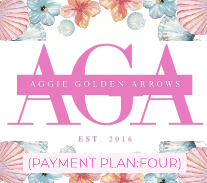 Arrows Payment Plan (4)