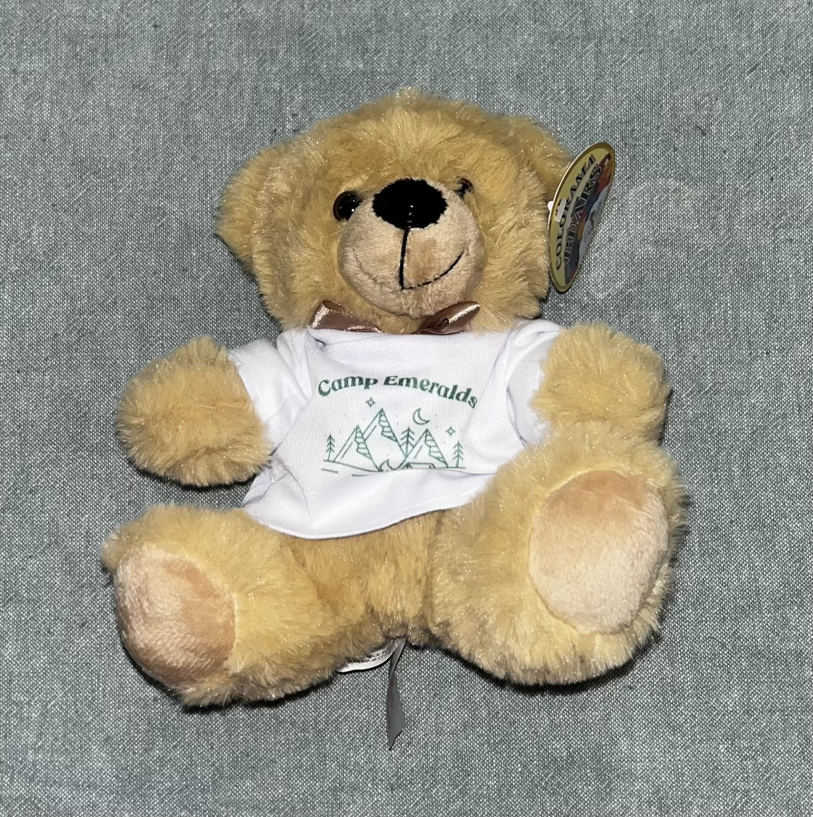 Camp Emeralds Teddy Bear