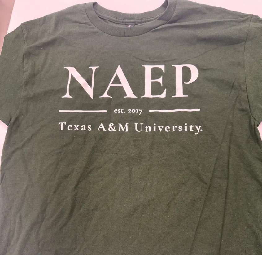 NAEP Gildan Shirt
