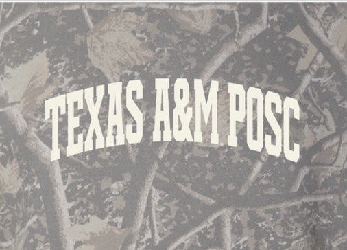 Light Wash Camo Hoodie