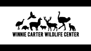Winnie Carter Wildlife Center Tours