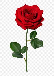 Navigate to this Product's page