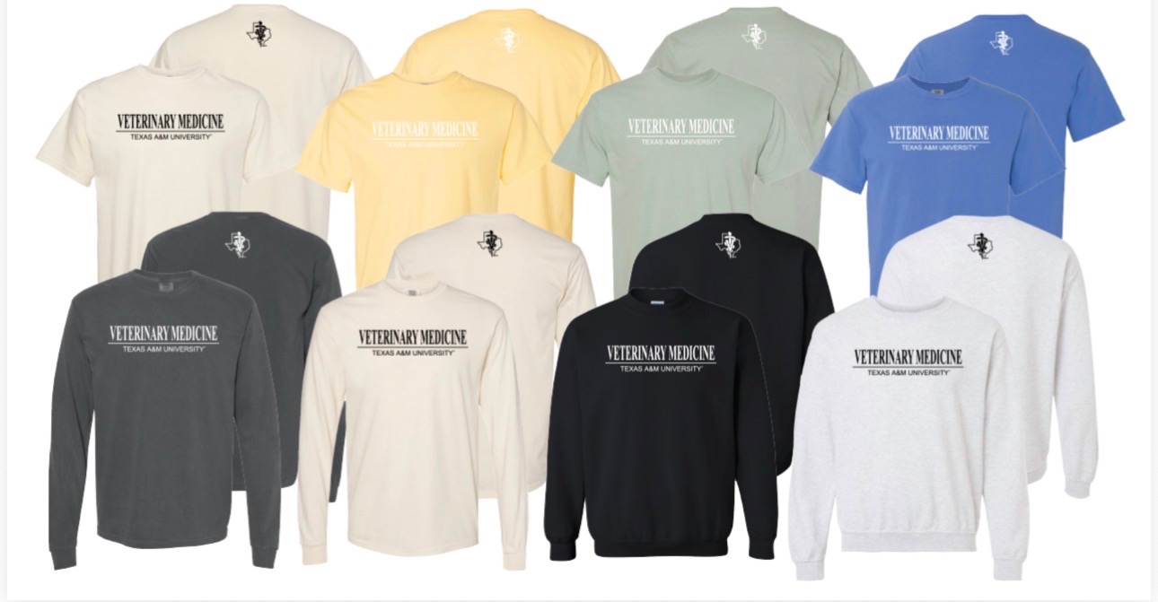 Spring 2026 Comfort Colors Short Sleeve Shirt - $25