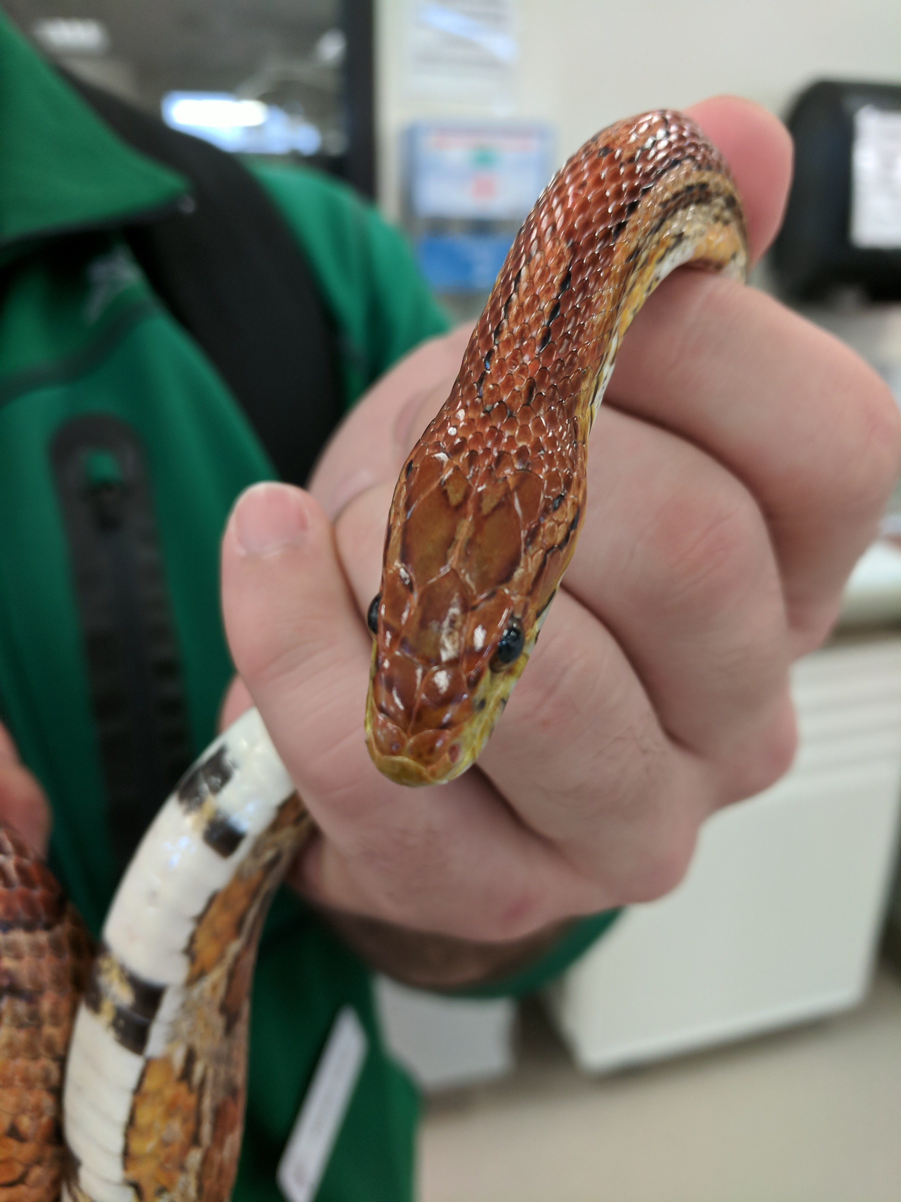 Navigate to this Product's page