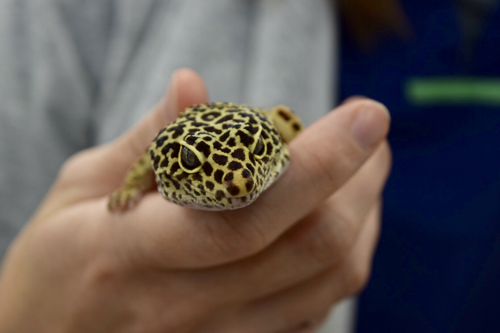 Navigate to this Product's page