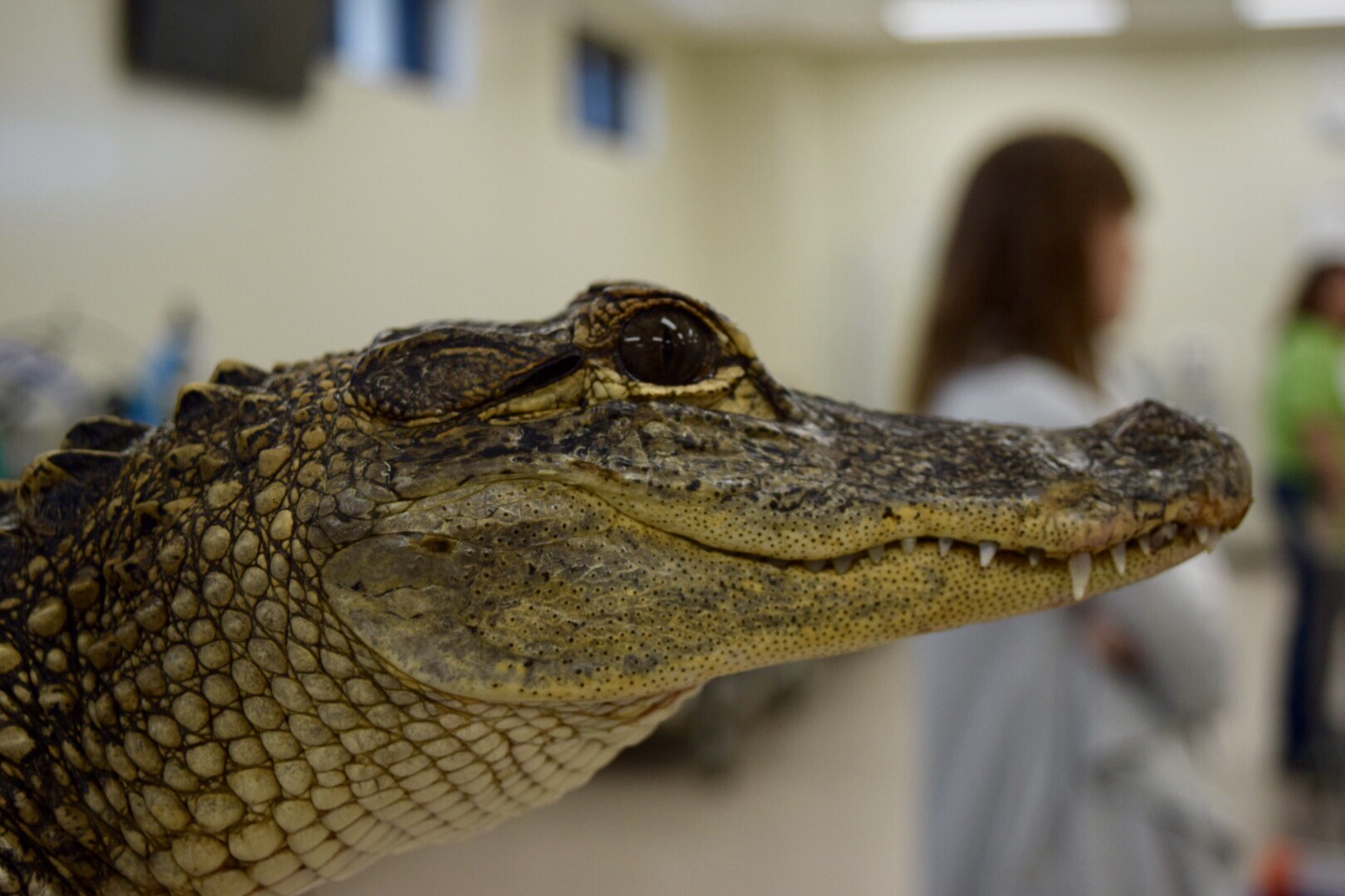 Navigate to this Product's page