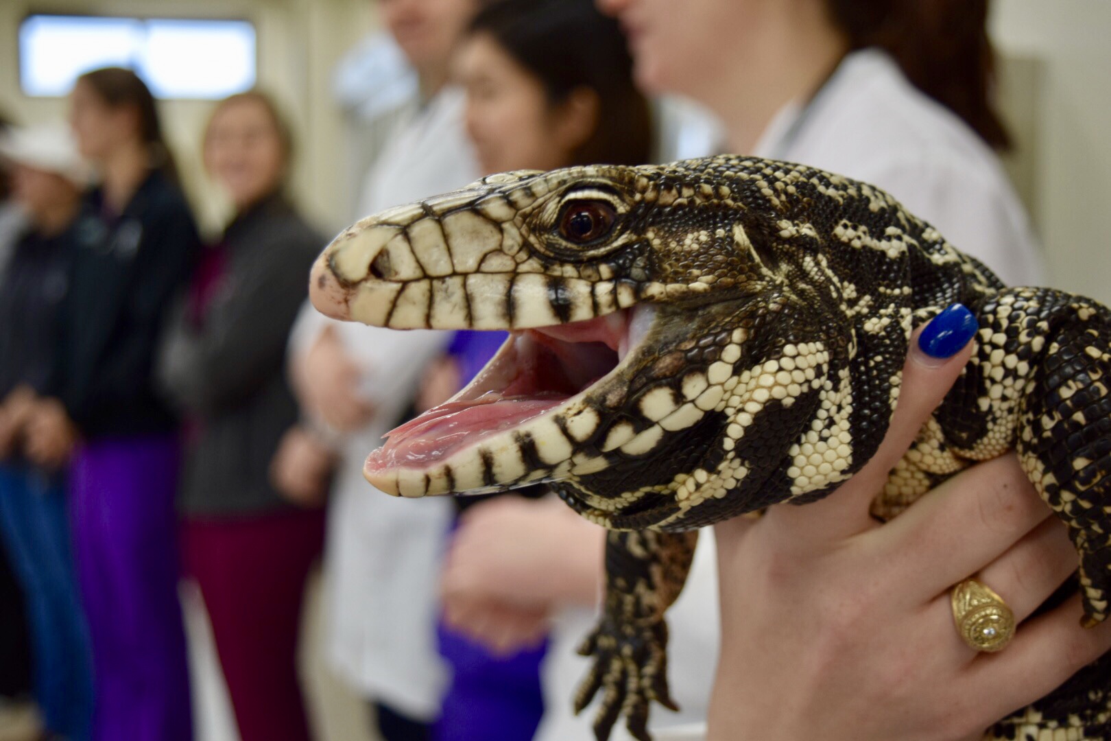 Navigate to this Product's page