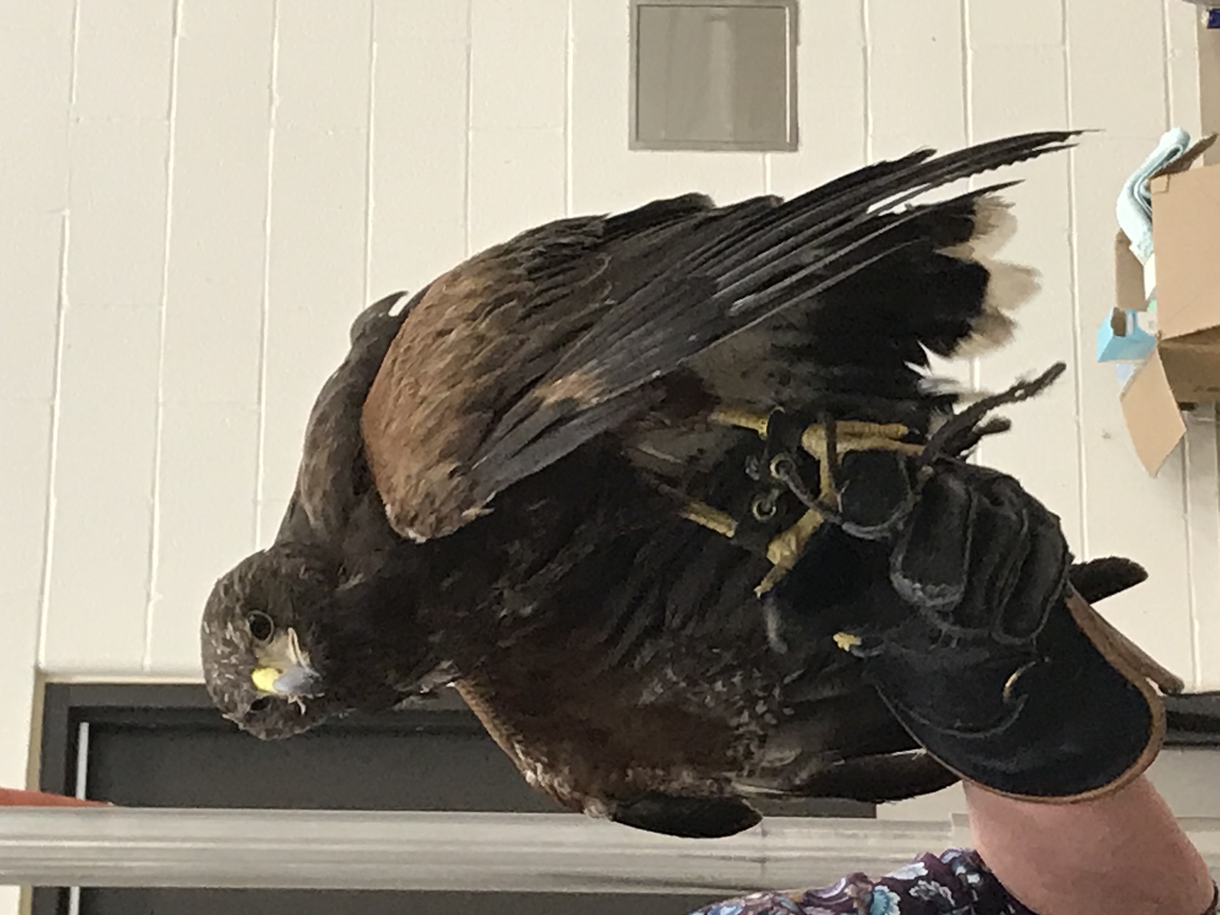 Navigate to this Product's page