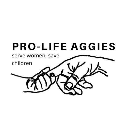 Navigate to this Product's page