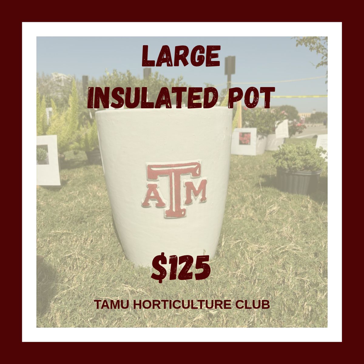 Large Insulated Pot