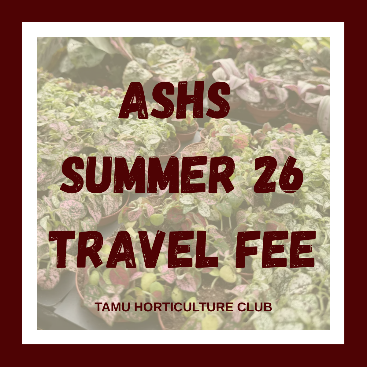 ASHS 2026 Dallas Travel Fee