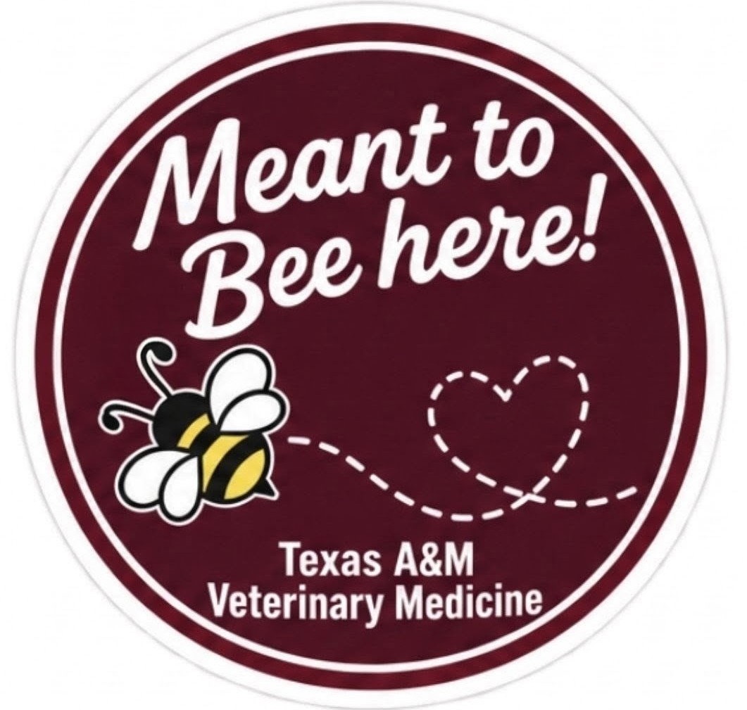Meant to Bee Here Stickers