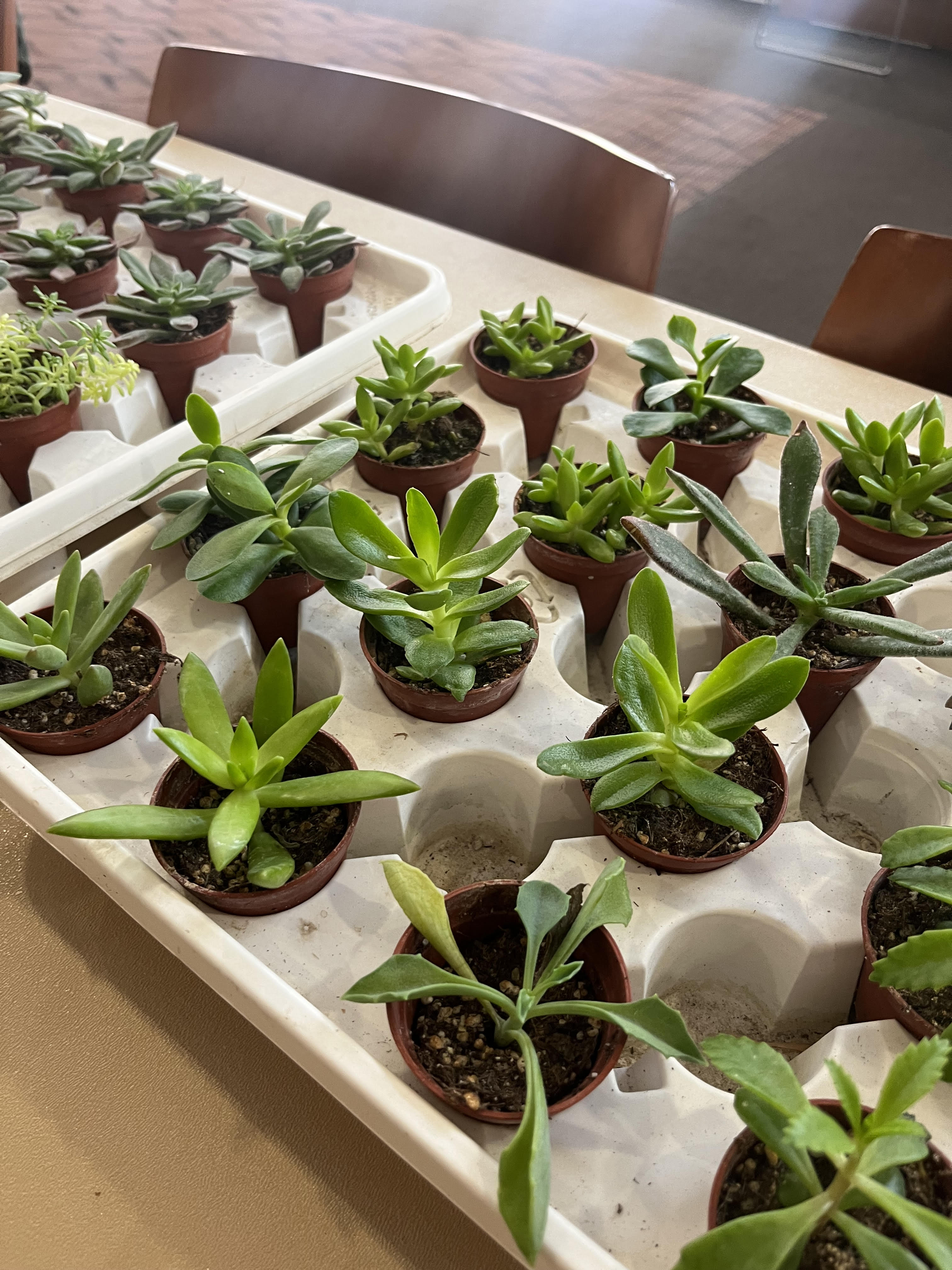 Navigate to this Product's page