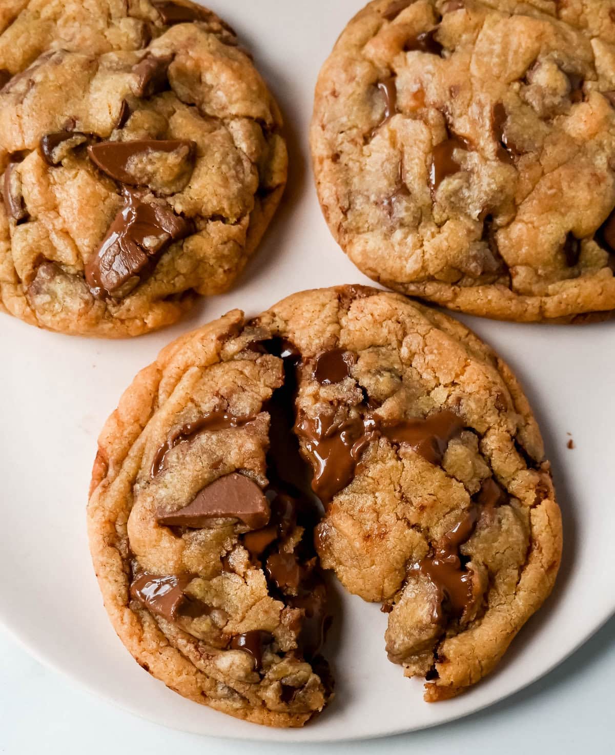 Chocolate Chip Cookie