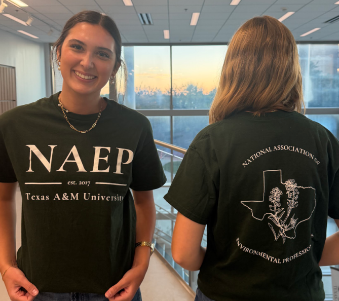 Green Gildan NAEP Shirt