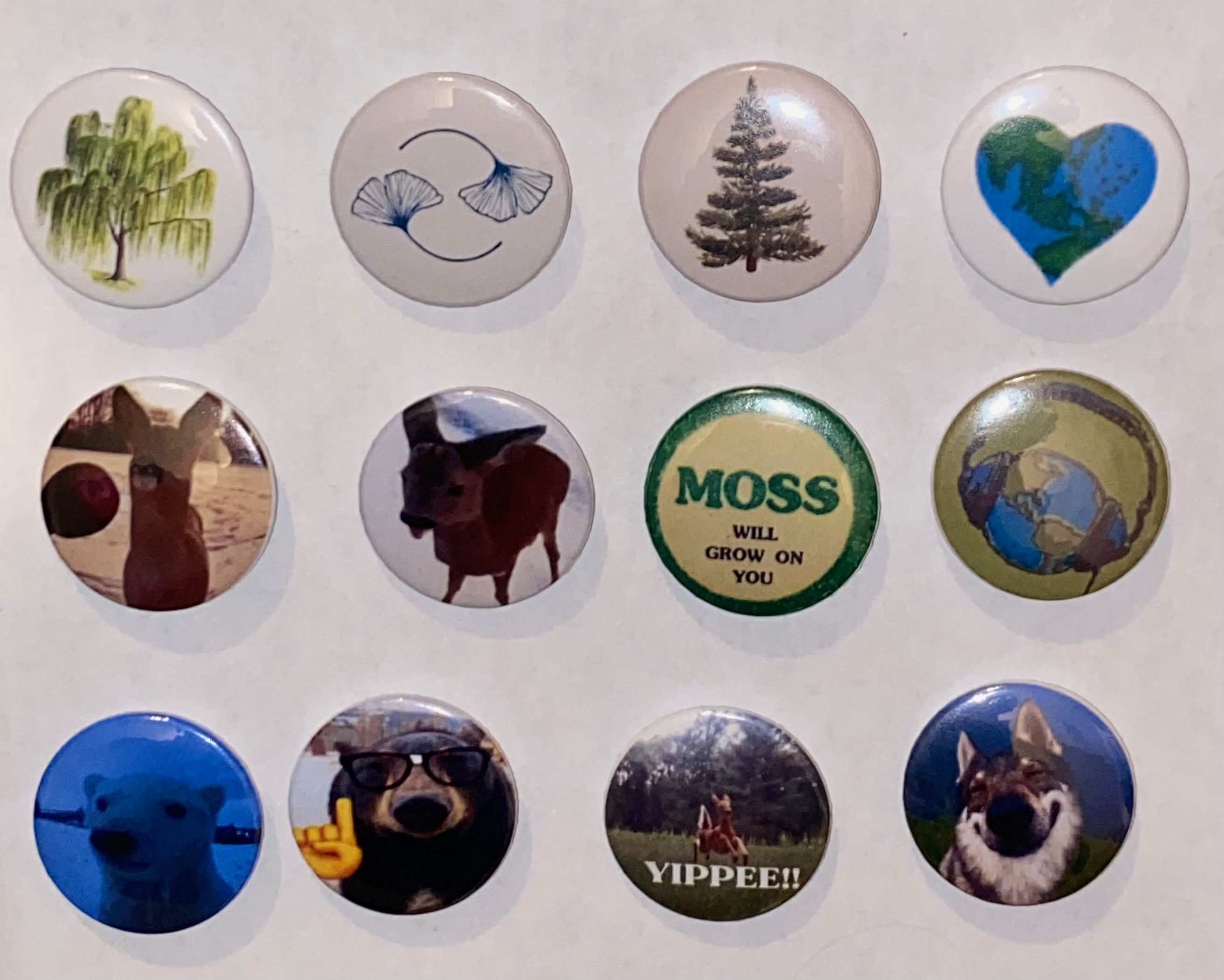 Navigate to this Product's page