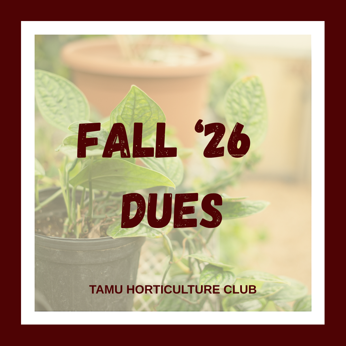 Fall '26 Dues