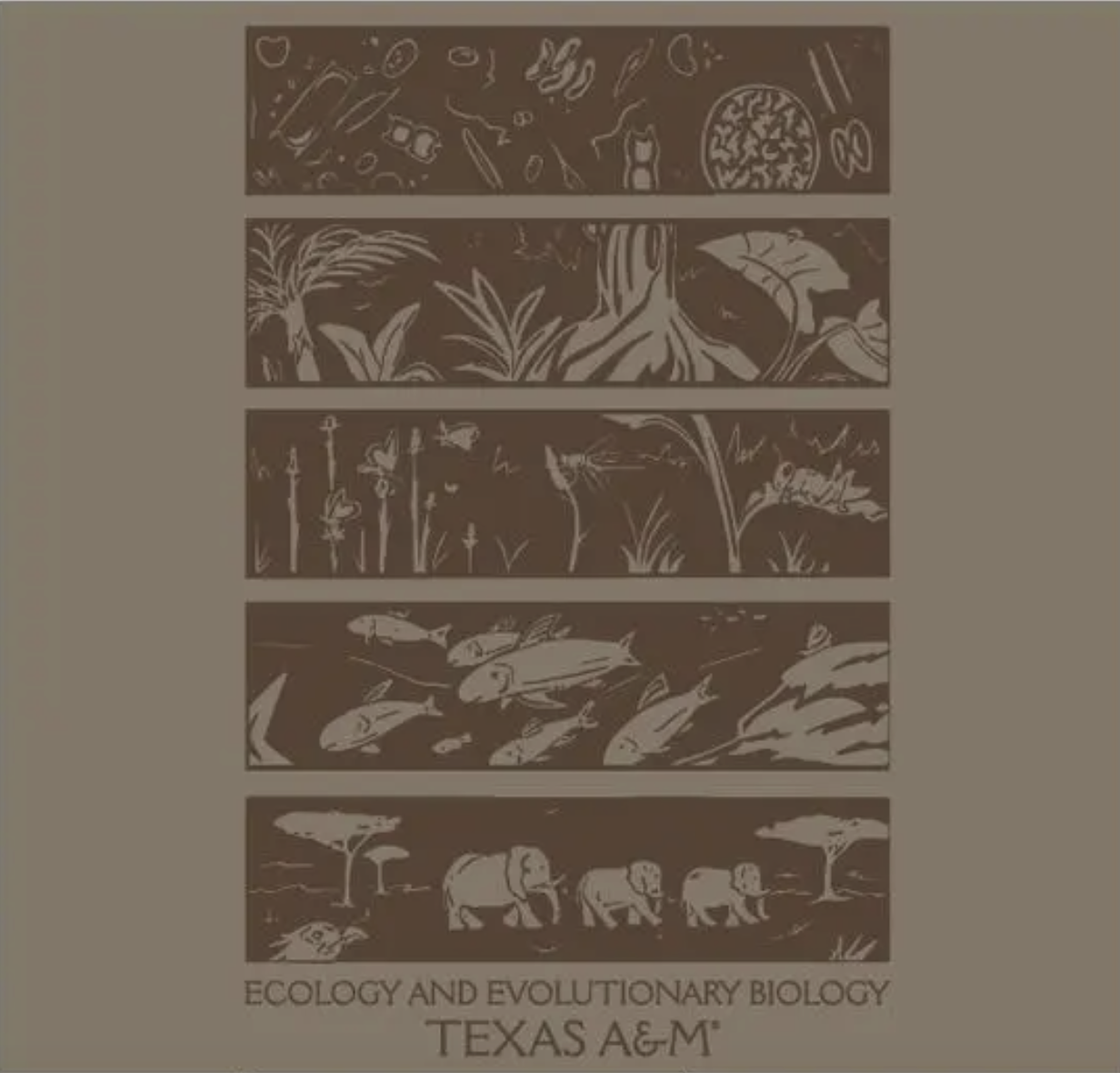 NEW t-shirt design! -- ecosystems in brown