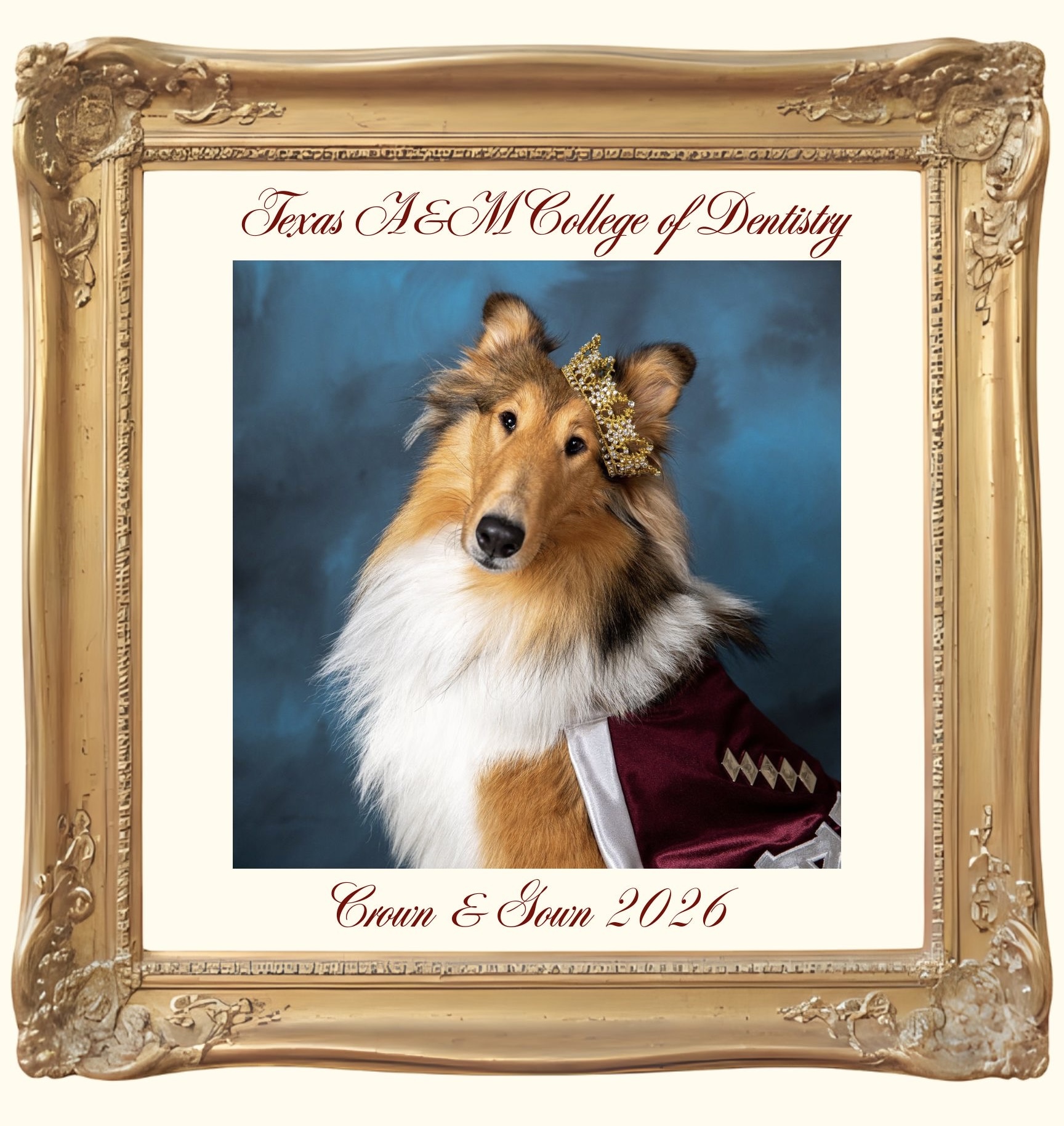 GUEST TICKET - Crown &amp; Gown Gala