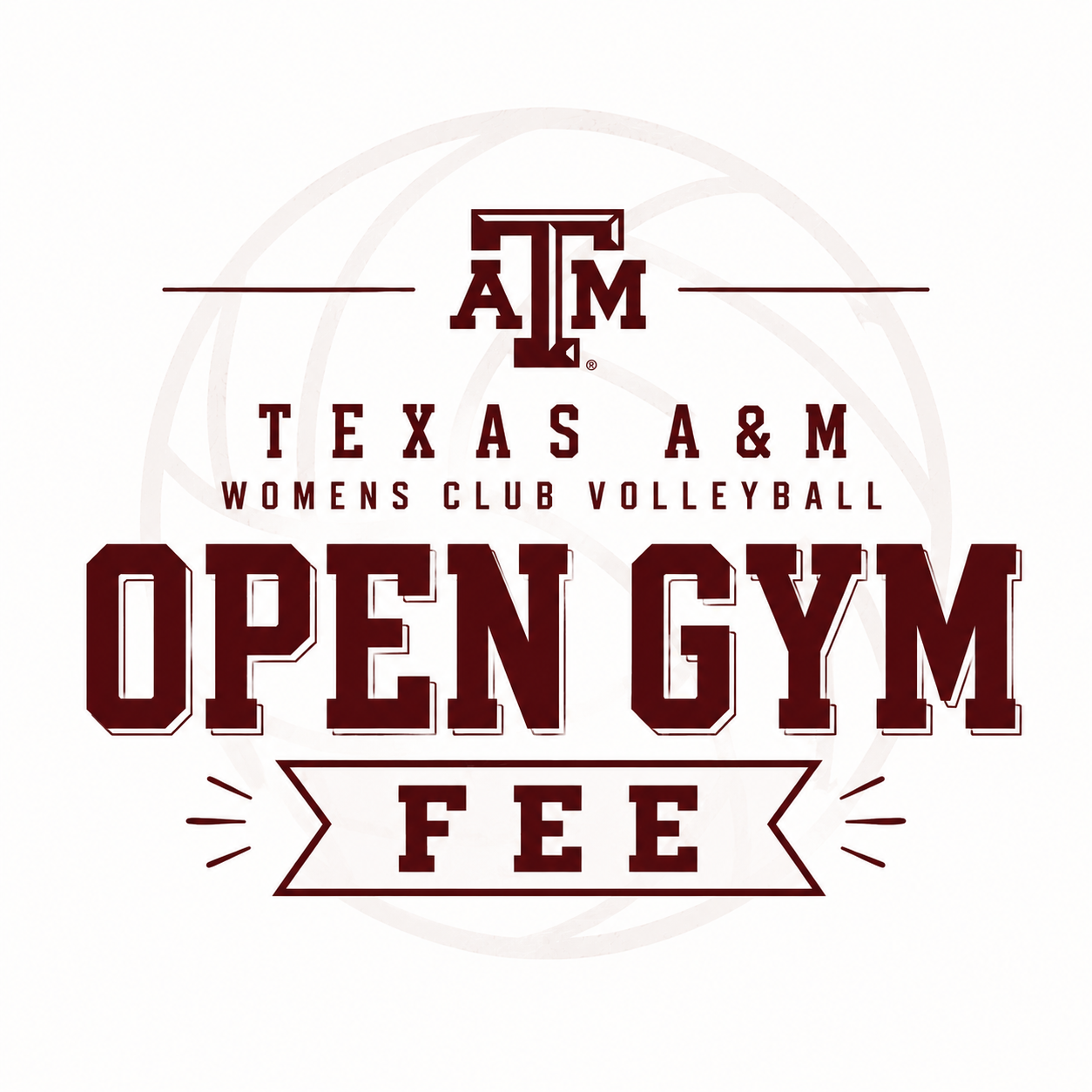 Open Gym Fee