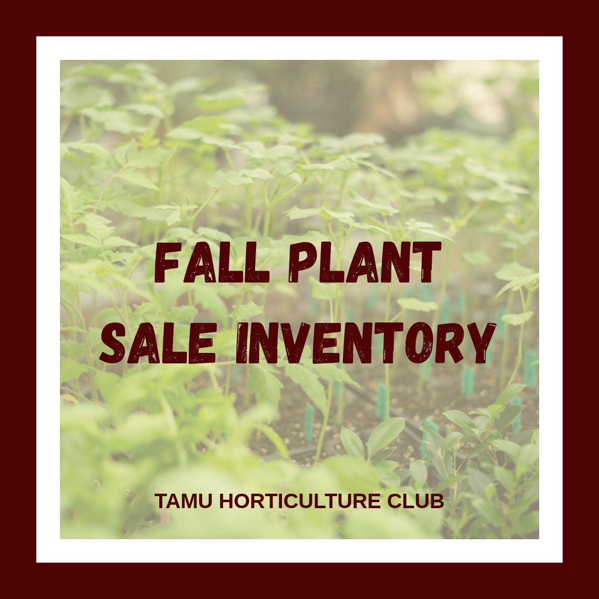 Fall 26 Plant Sale Inventory
