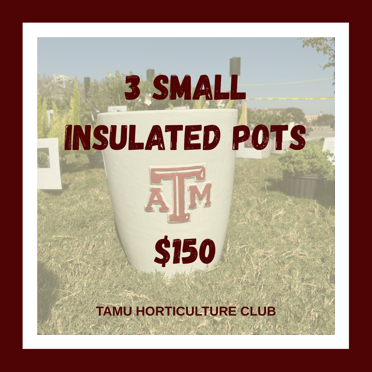 3 Small Insulated Pots Order
