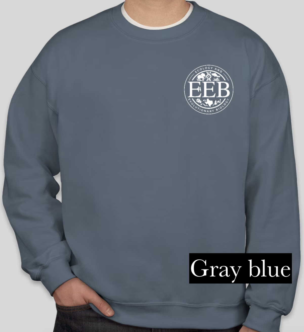 Logo crewneck sweatshirt