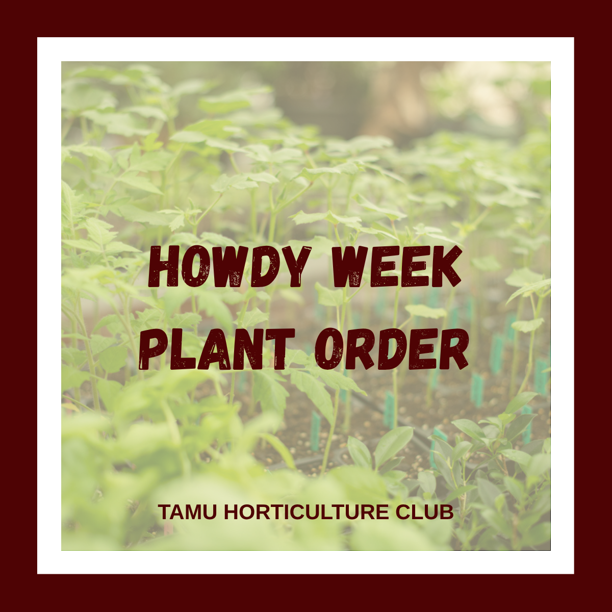 Howdy Week Plant Order