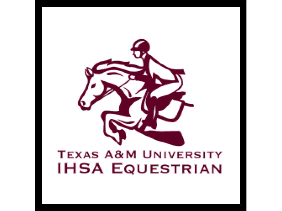 Navigate to this Product's page